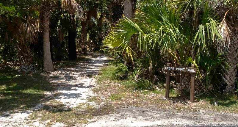 Cedar Point Trail - St Marks Refuge