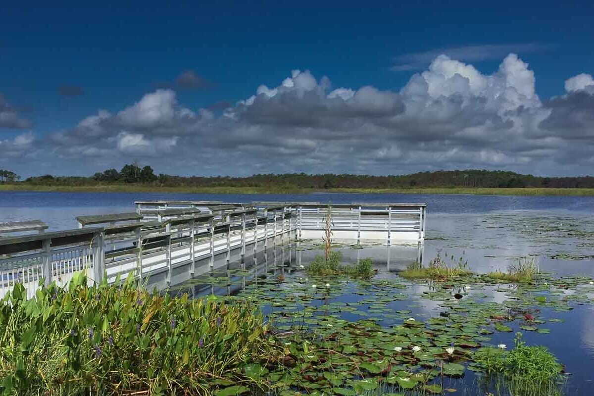 East River Pool - Lighthouse Road - St. Marks National Wildlife Refuge - Aug 4, 2018
