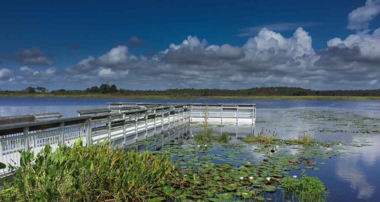 East River Pool - Lighthouse Road - St. Marks National Wildlife Refuge - Aug 4, 2018