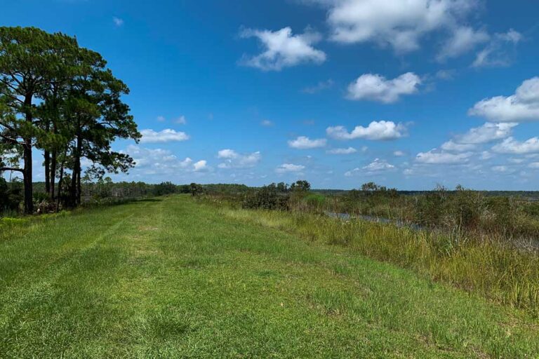 East River Pool at the St. Marks Wildlife Refuge