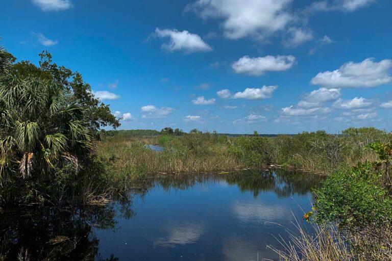 East River Pool at the St. Marks Wildlife Refuge