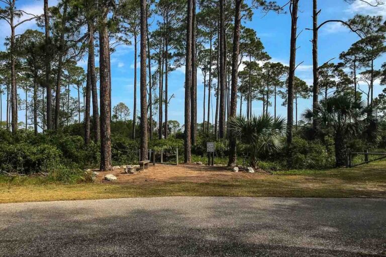St. Marks National Wildlife Refuge, Fl Jun 1, 2019