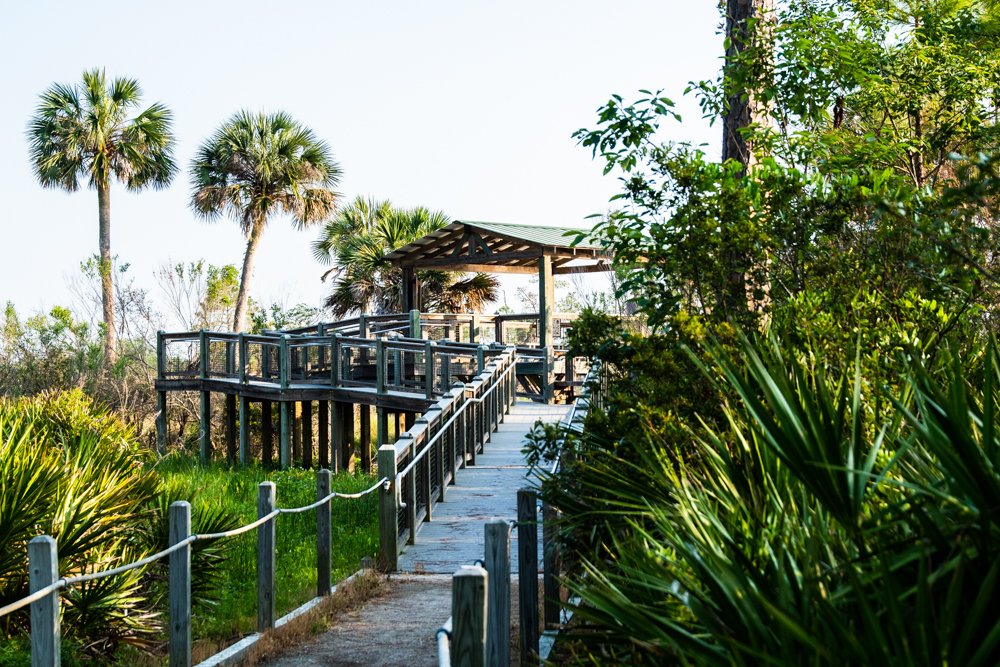 Trail to the observation deck at Headquarters Pond