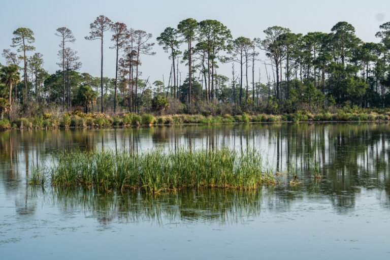 Headquarters Pond