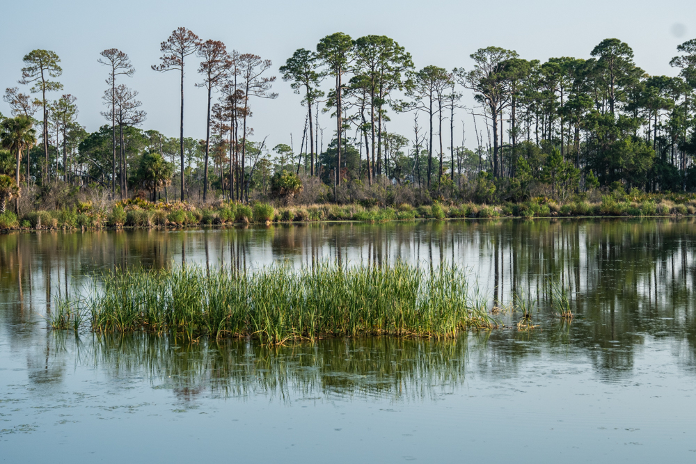 Headquarters Pond