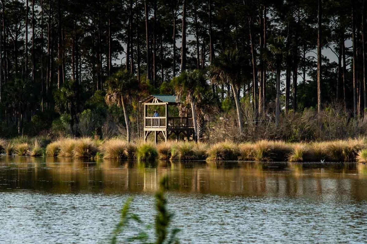 Observation deck at Headquarters Pond at the St. Marks Wildlife Refuge