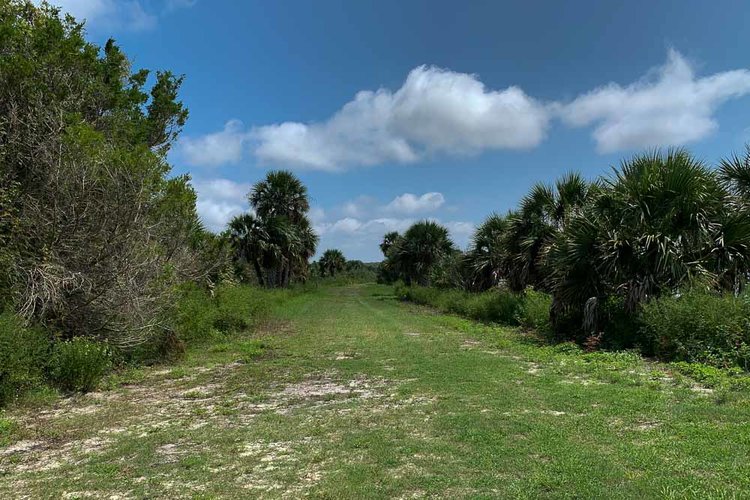 Levee Trail