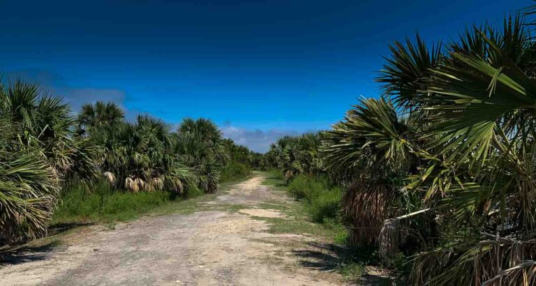 Levee Trail
