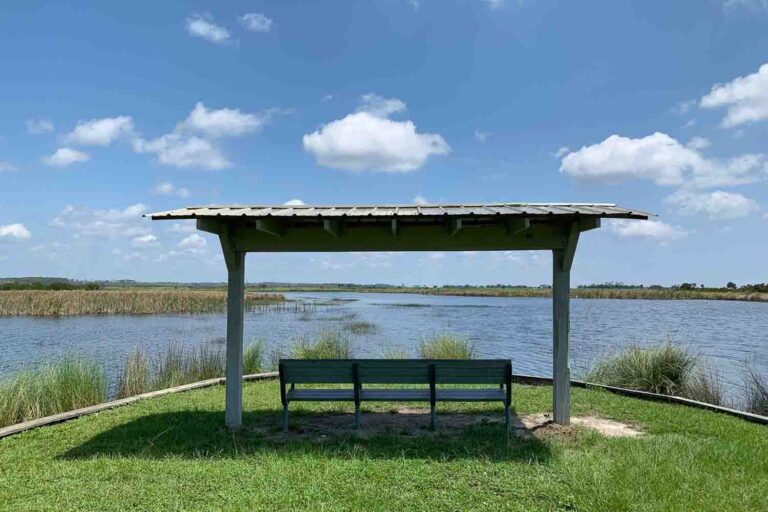 Bench at Mounds Pool 1 - St. Marks Wildlife Refuge