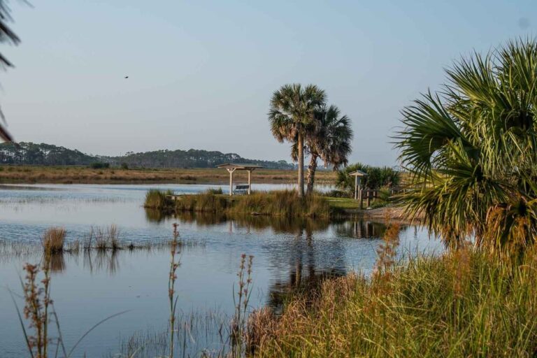 Mounds Pool 1 - St. Marks Wildlife Refuge