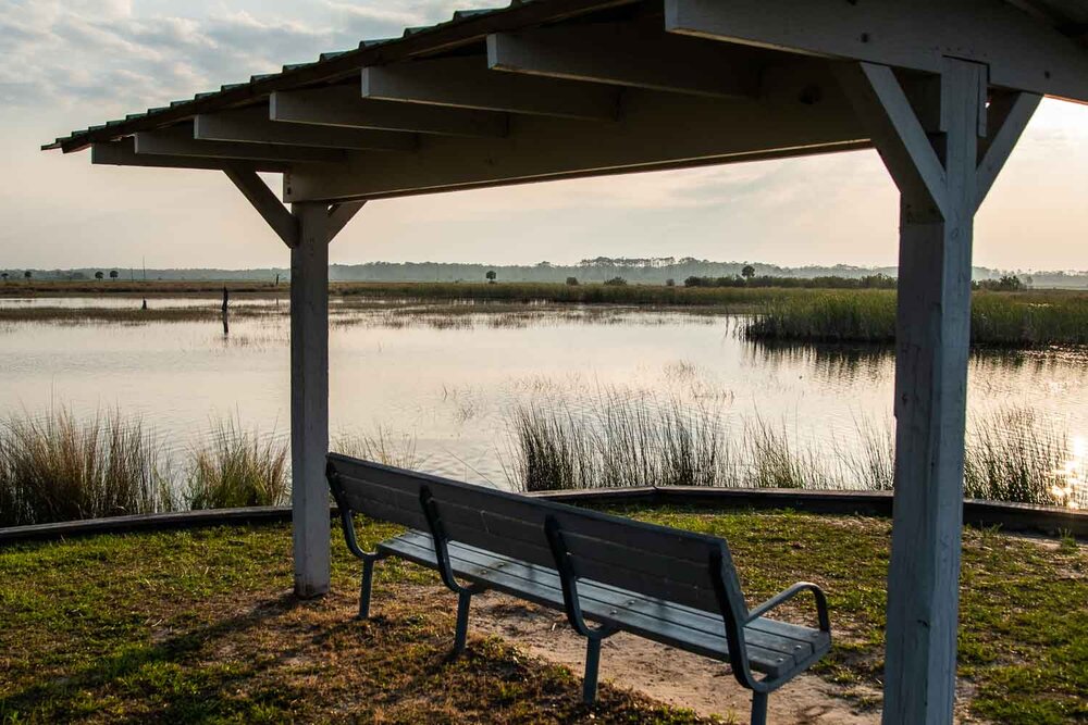 Bench at Mounds Pool 1 - St. Marks Wildlife Refuge