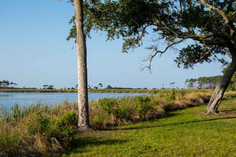 Picnic Area at the St. Marks Wildlife Refuge