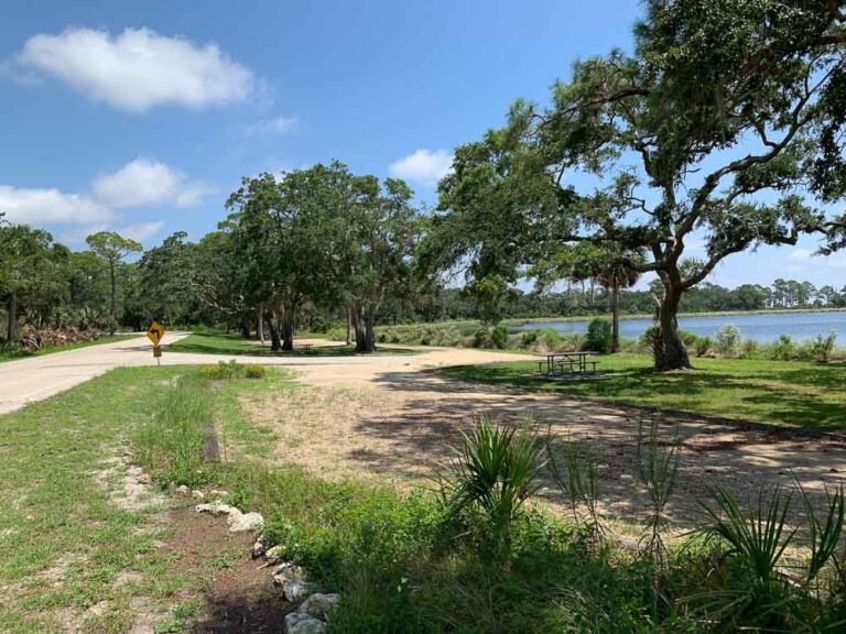 Picnic Area at the St. Marks Wildlife Refuge