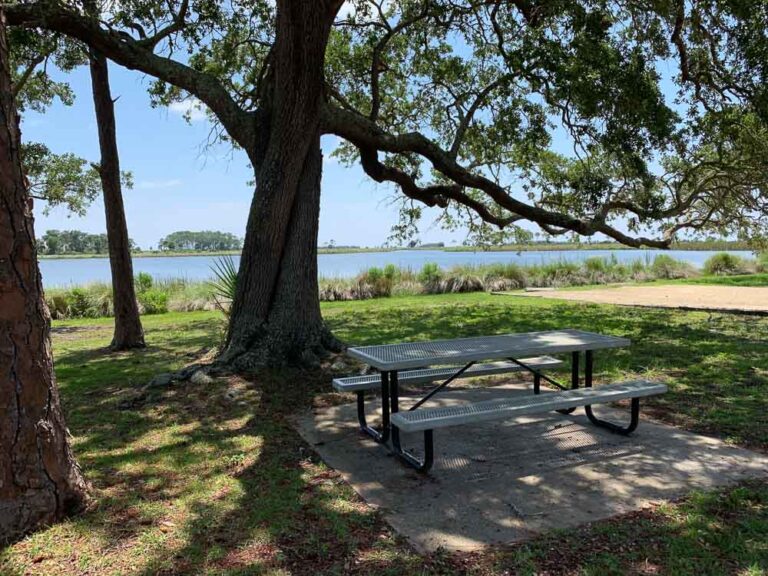 Picnic Area at the St. Marks Wildlife Refuge