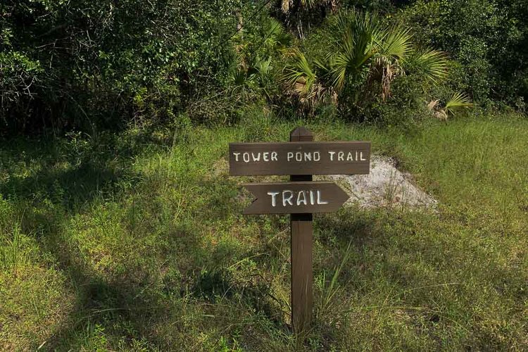Tower Pond Loop Trail sign