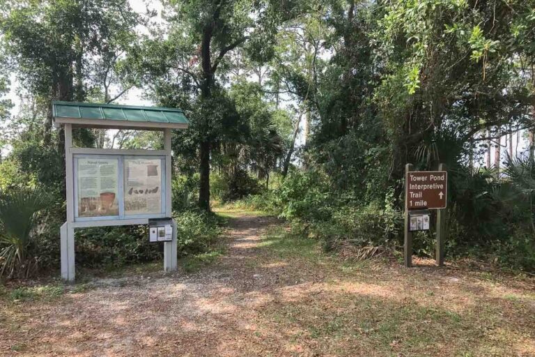 Tower Pond Loop interpretive sign and kiosk.