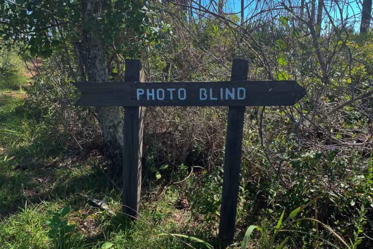 Tower Pond Loop photo blind sign