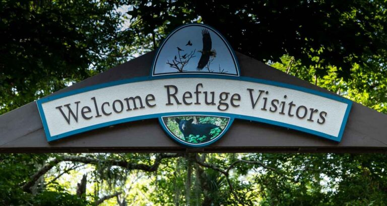 Visitor Center at the St. Marks Wildlife Refuge
