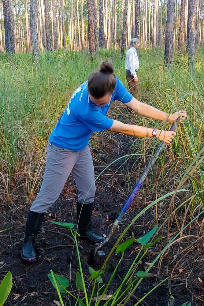 In The Field