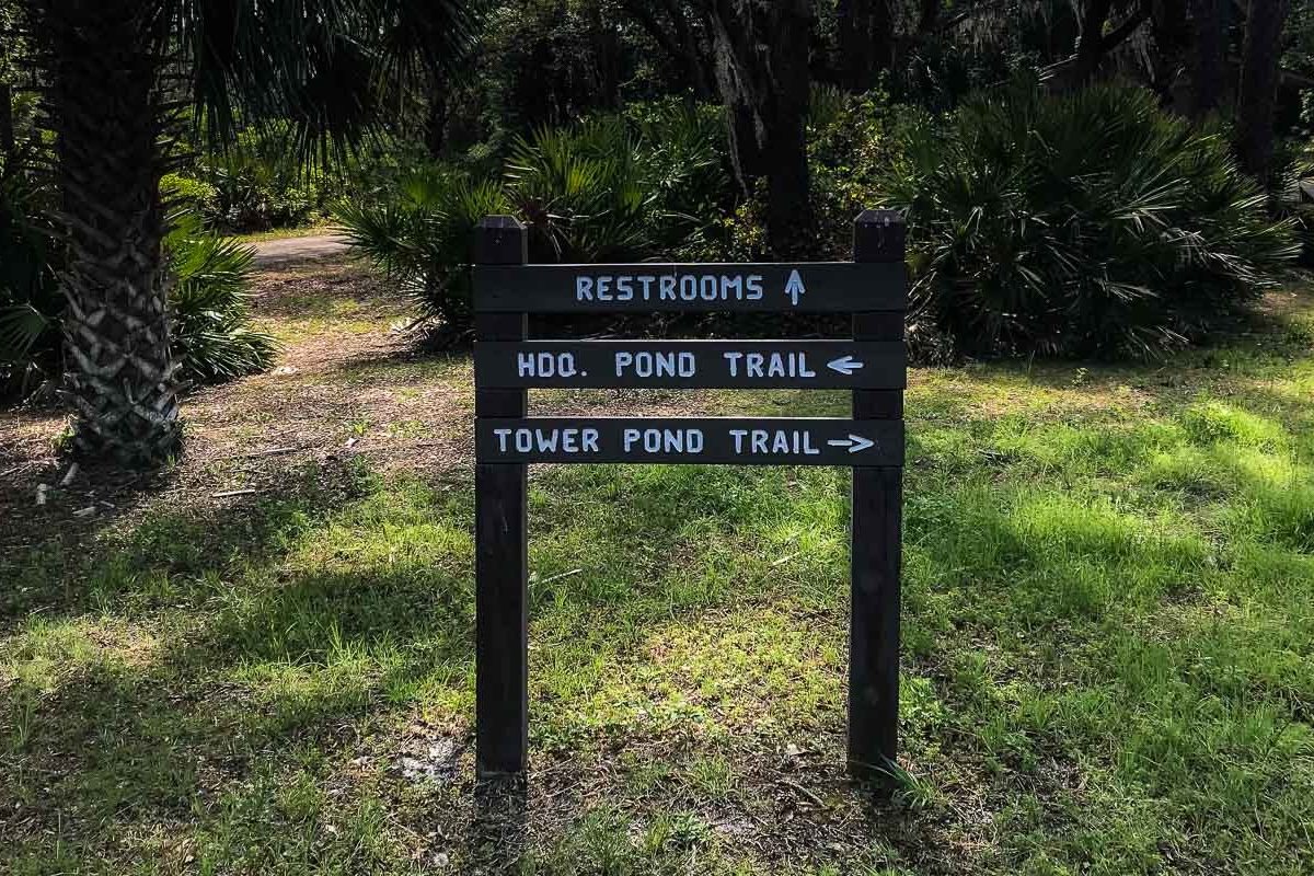 St. Marks National Wildlife Refuge, Fl Jun 1, 2019